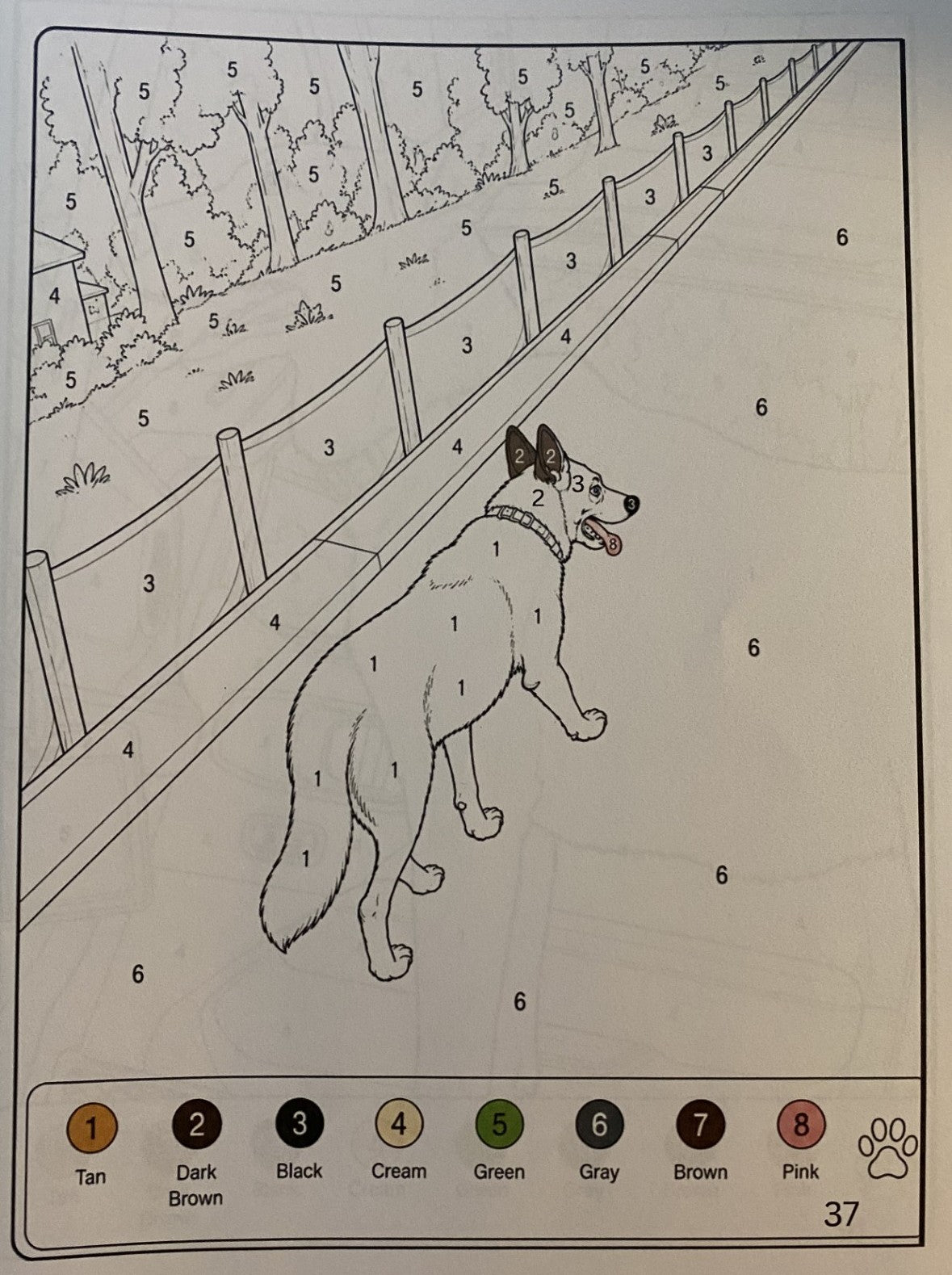 Koda’s Color-by-Number Adventures: A Dog Coloring Book — Digital Edition