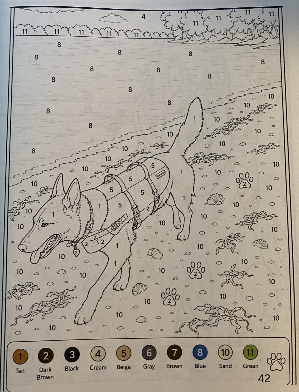 Koda’s Color-by-Number Adventures: A Dog Coloring Book — Digital Edition